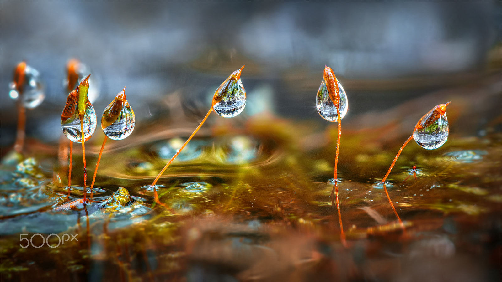 Nikon AF-S Micro-Nikkor 105mm F2.8G IF-ED VR sample photo. Precious stones photography