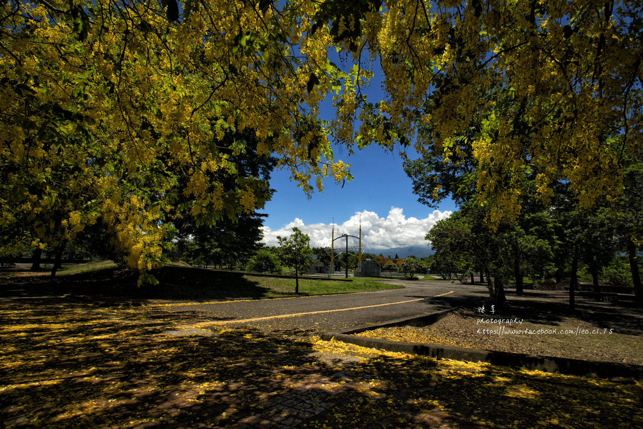 Sony a7R II + Canon EF 16-35mm F2.8L II USM sample photo. Park photography