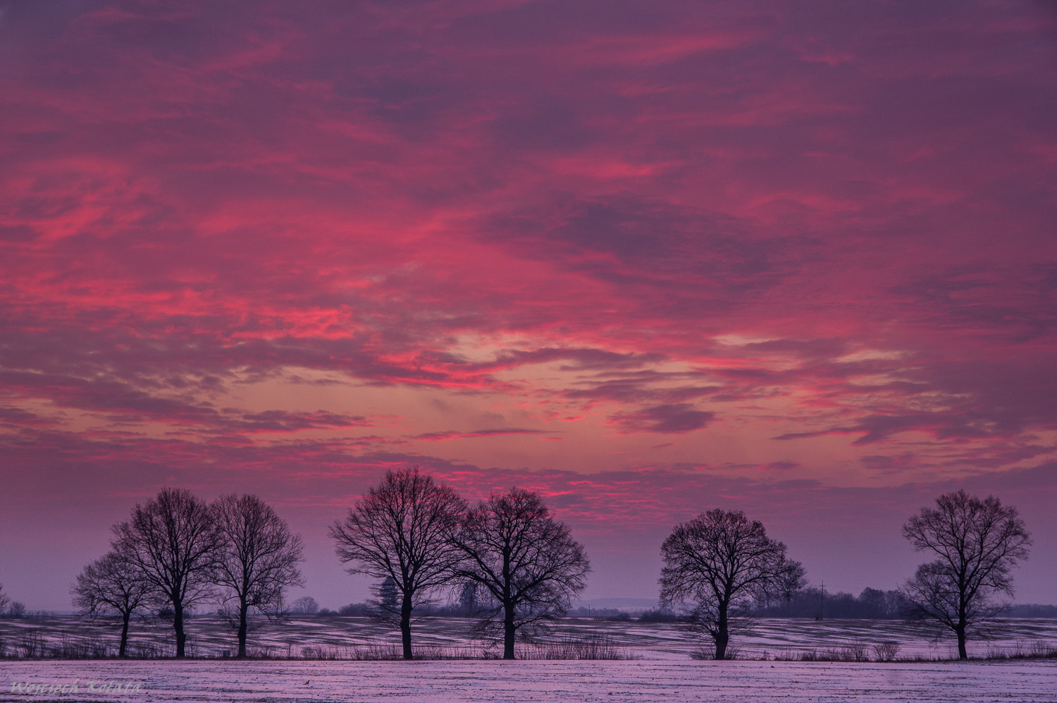 Pentax K-3 II sample photo. Color winter photography