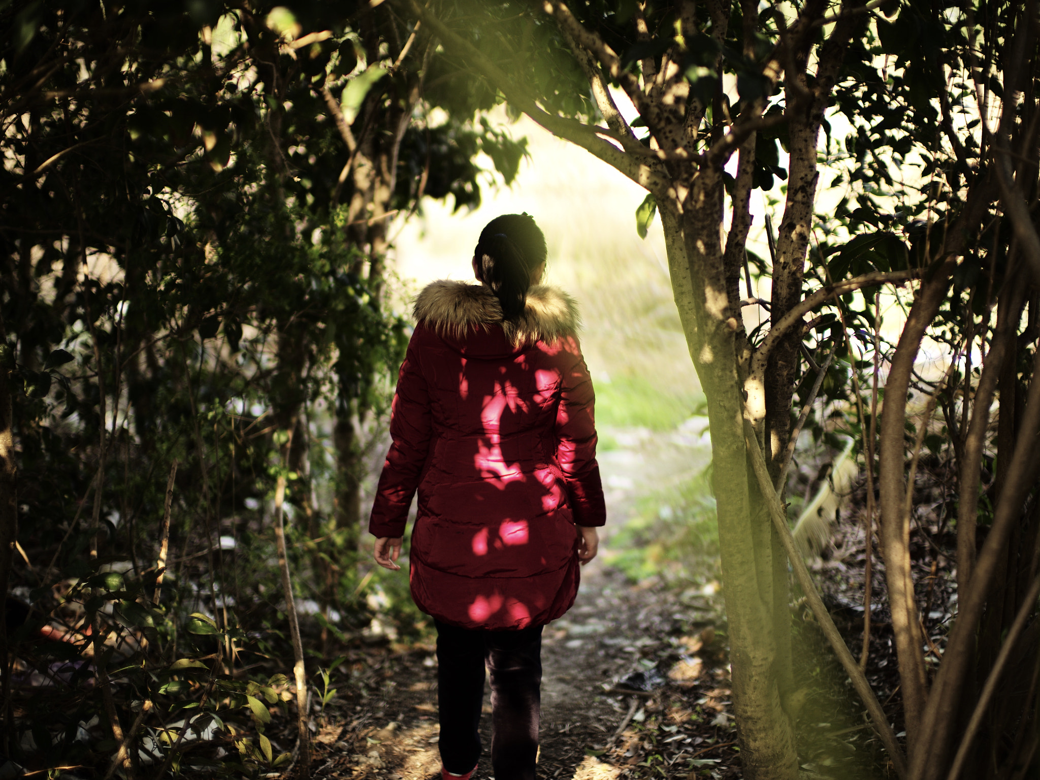 Leica Noctilux-M 50mm F0.95 ASPH sample photo. 午后 photography