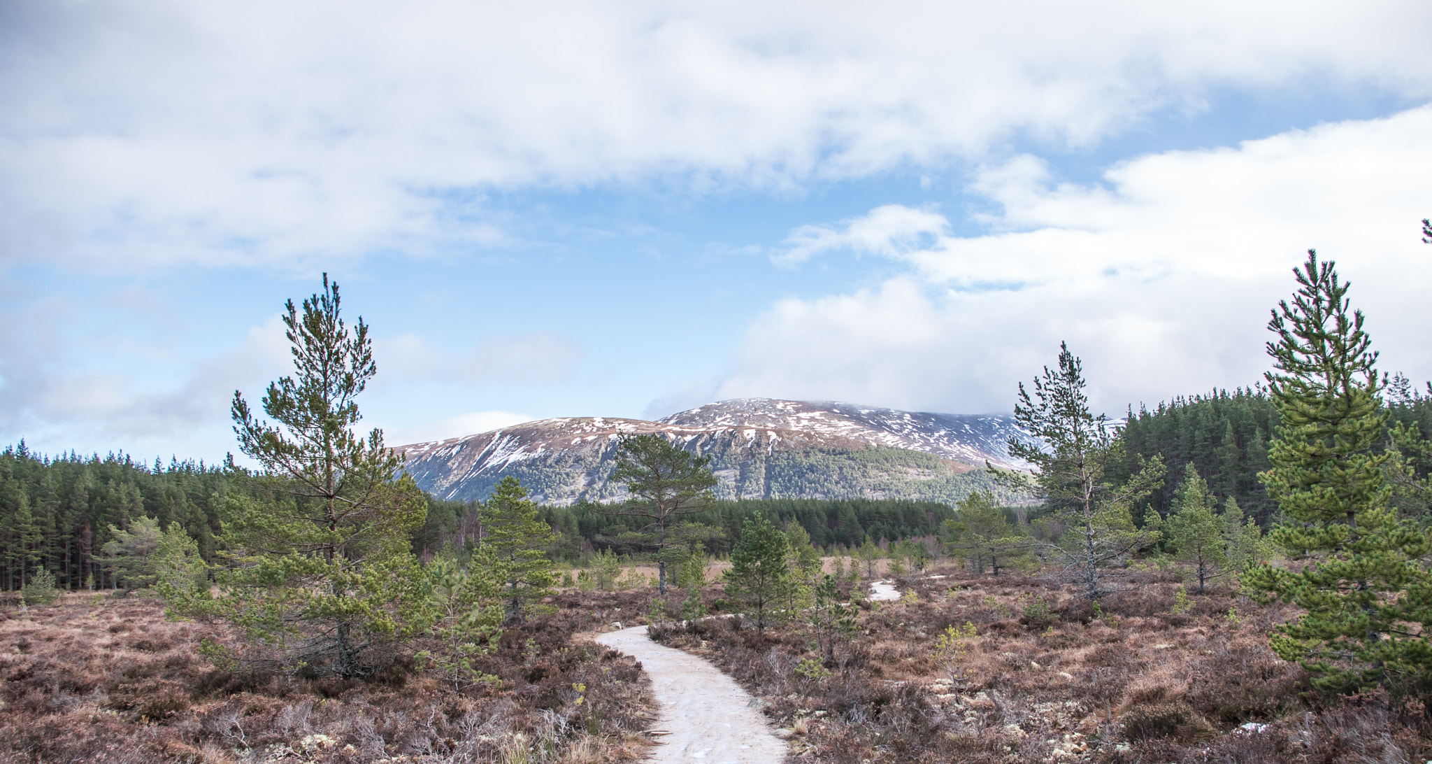 Pentax K-1 + Pentax smc DA 18-55mm F3.5-5.6 AL sample photo. Glen feshie photography