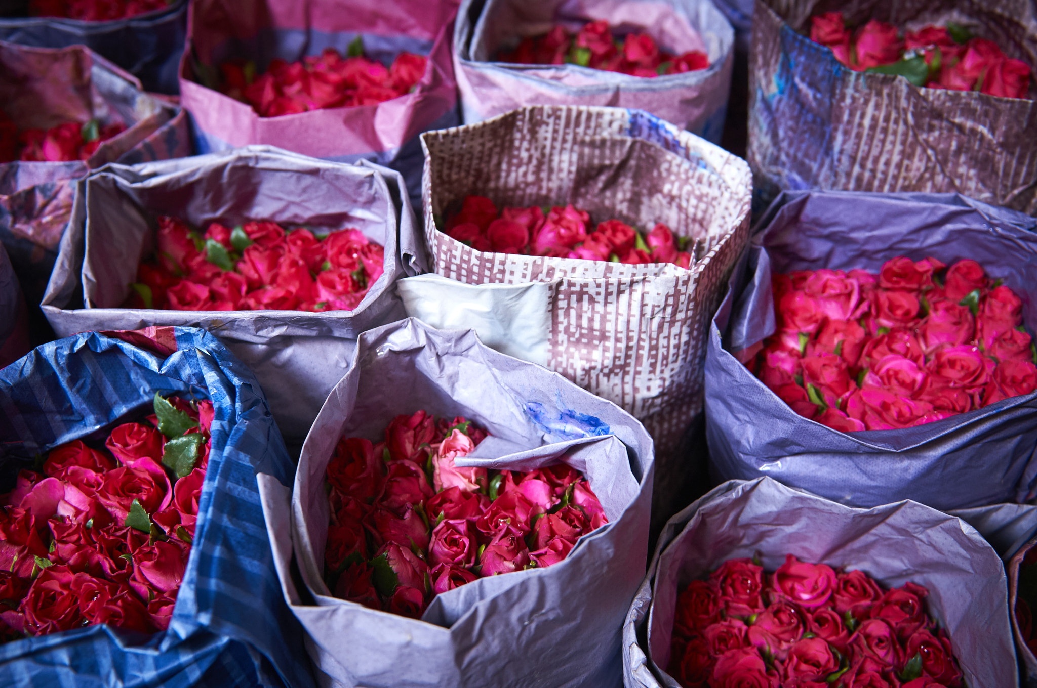 Nikon AF-S Nikkor 24-70mm F2.8G ED sample photo. Flower market photography