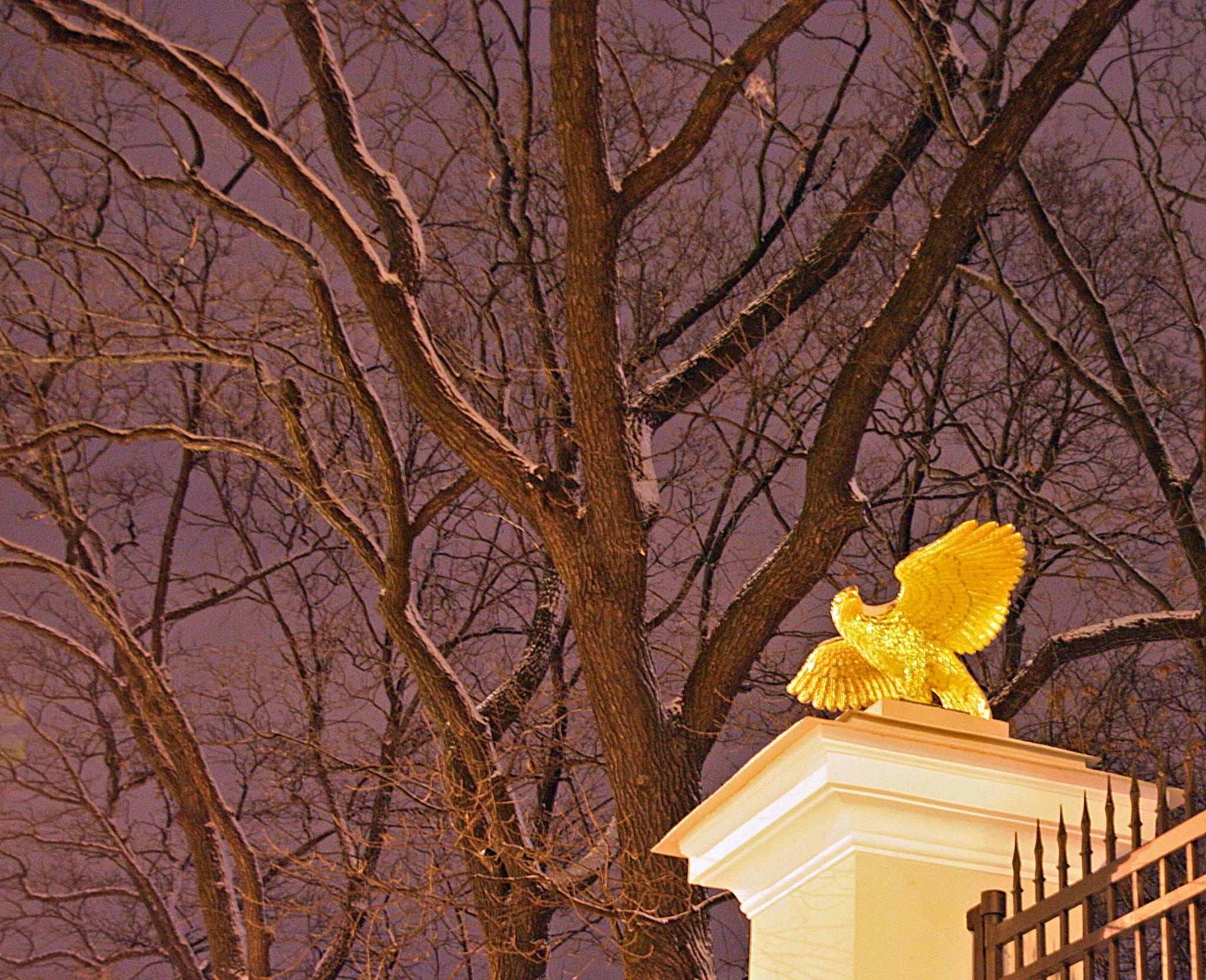 Sigma 18-200mm f/3.5-6.3 DC OS sample photo. Night-bird photography