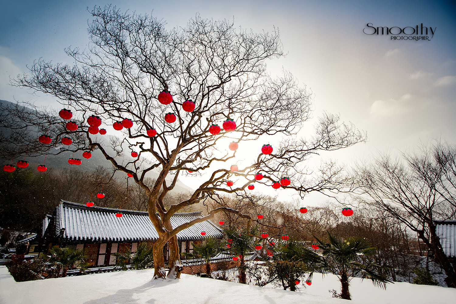 Canon EF 16-35mm F2.8L II USM sample photo. Winter travel .. photography