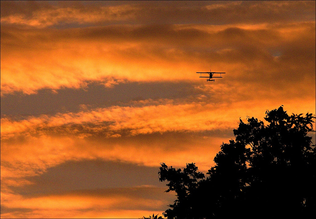 Olympus PEN E-PL2 + 40.00 - 150.00 mm f/4.0 - 5.6 sample photo. Biplane departing at sunset photography