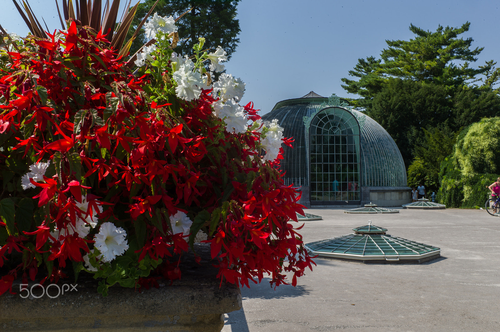 Leica M9 + Summicron-M 35mm f/2 (IV) sample photo. Lednice chateau greenhouse photography