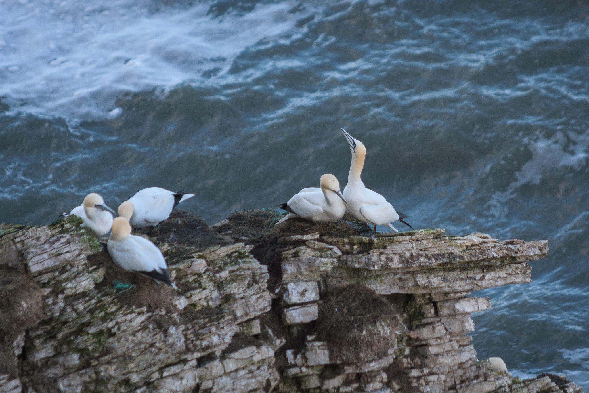 Nikon D7200 sample photo