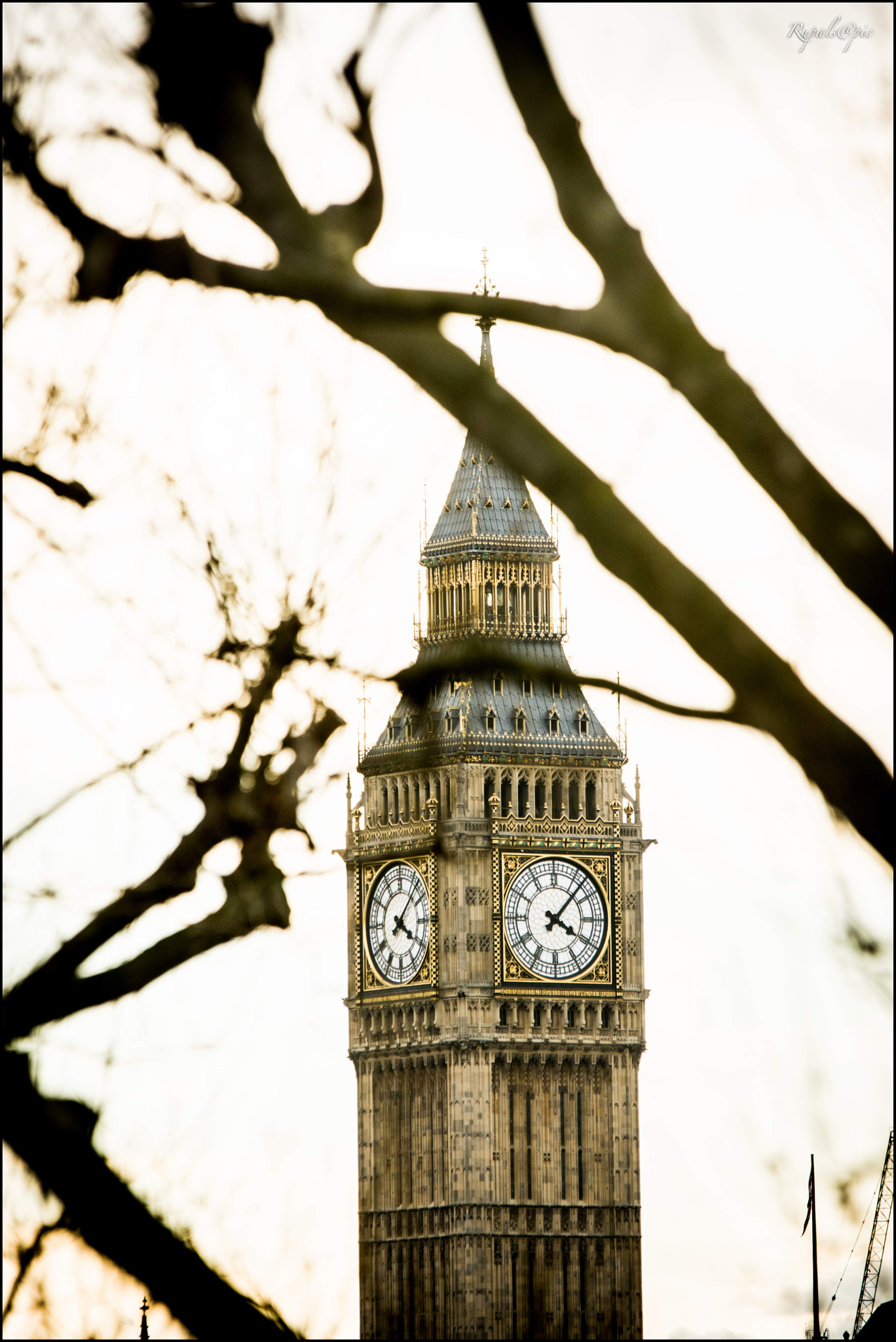 Sigma 70-200mm F2.8 EX DG OS HSM sample photo. Time to check time photography