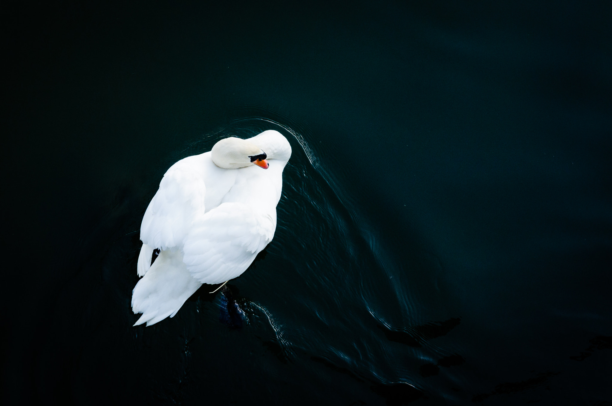 Nikon D300 sample photo. Vogelperspektive photography