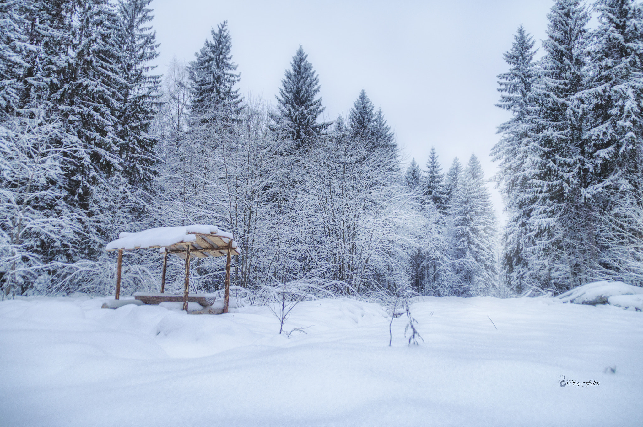 Sony SLT-A37 sample photo. Привал (bivouac) photography