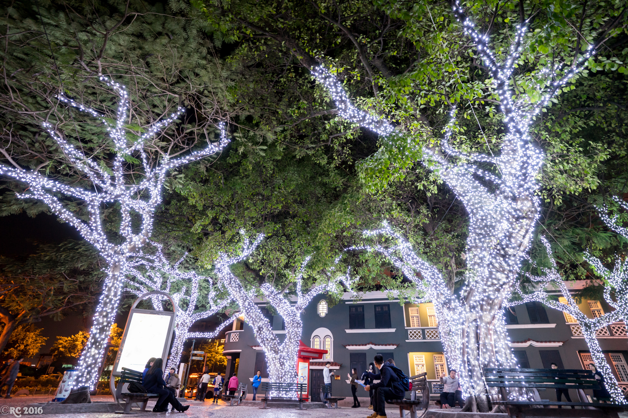 ZEISS Batis 18mm F2.8 sample photo. 30887896533.jpg photography