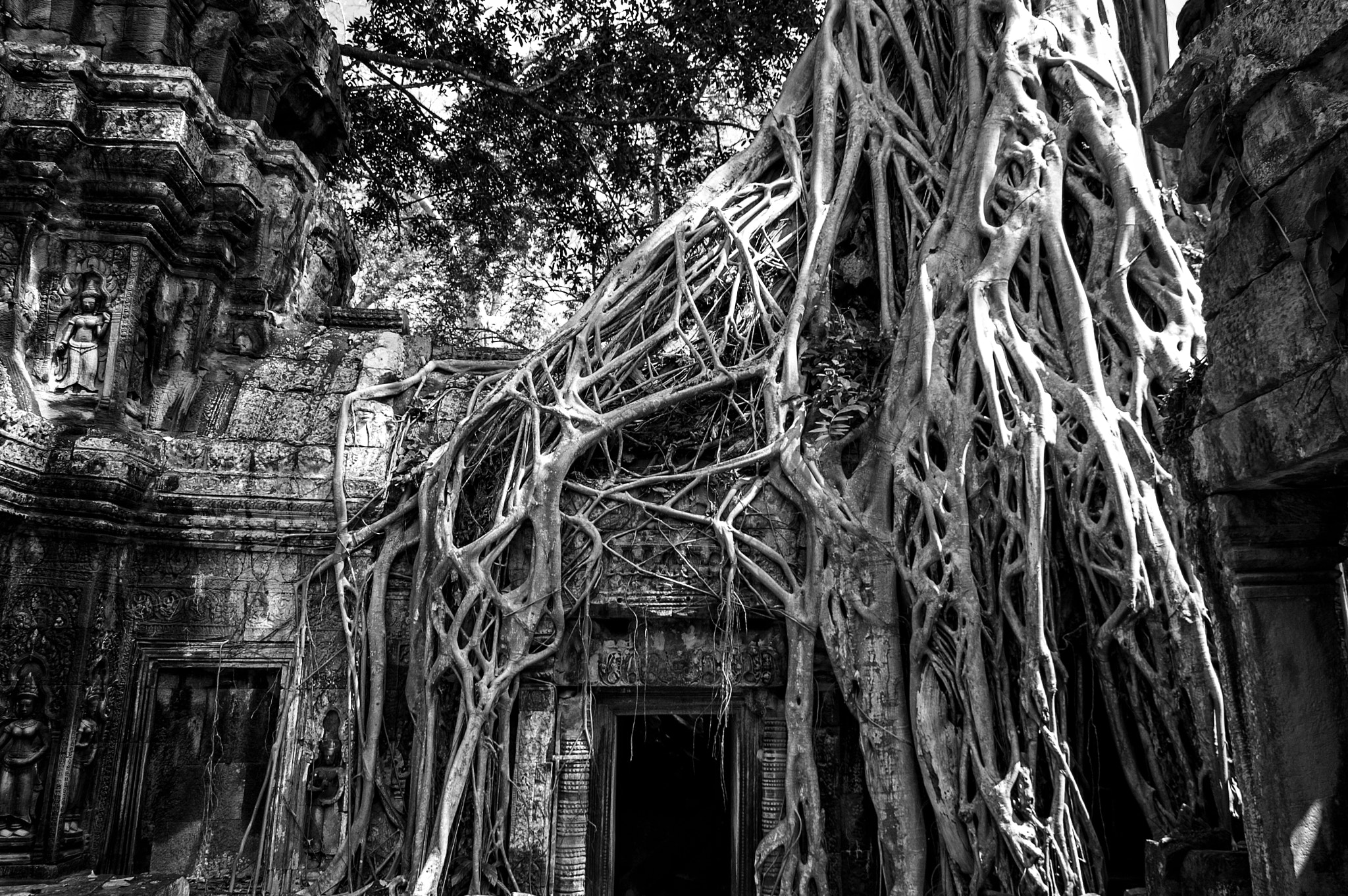 Nikon D40 sample photo. Ta prohm photography