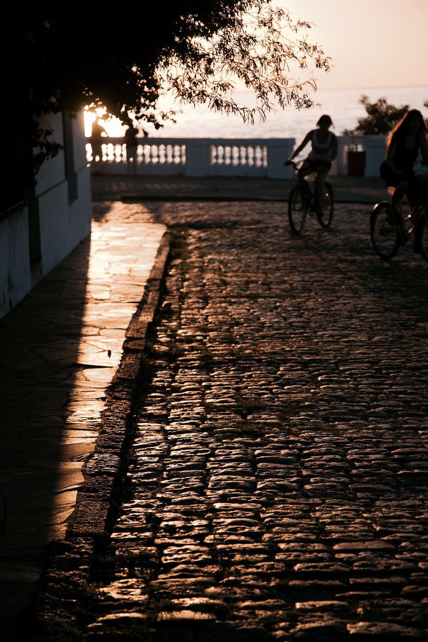 Canon EOS-1Ds Mark III sample photo. Ride baby, ride photography