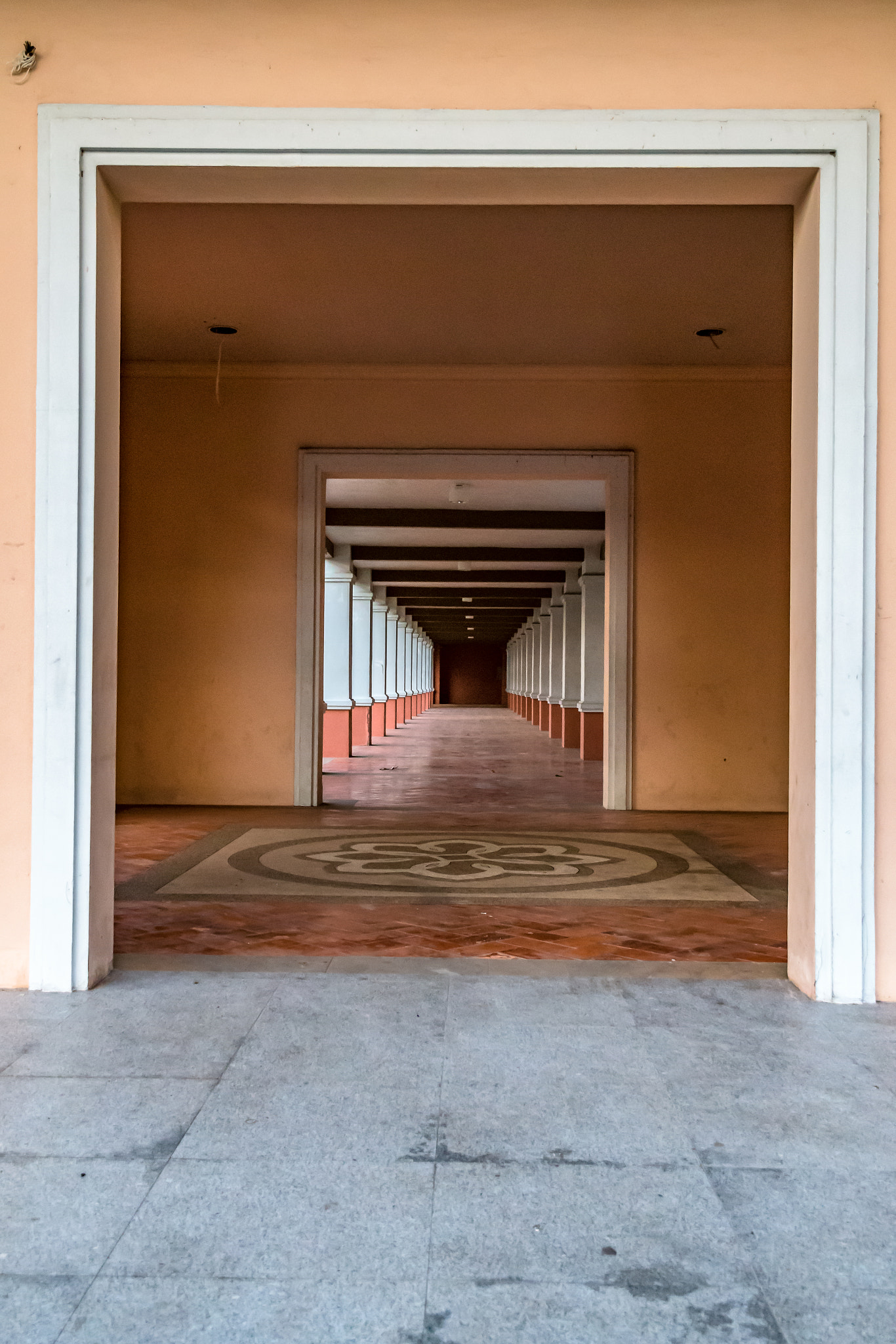 Nikon D500 sample photo. Symmetric photography