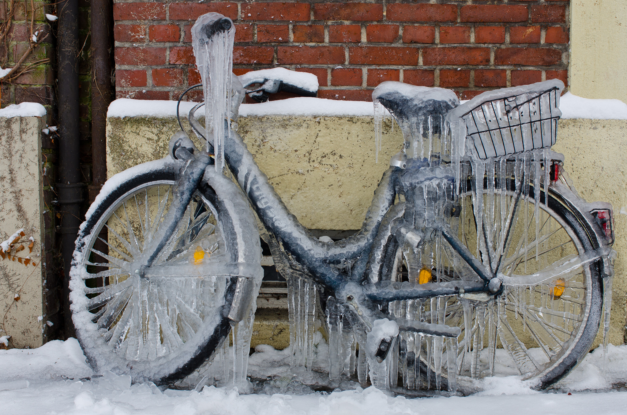 Nikon AF-S Nikkor 28-70mm F2.8 ED-IF sample photo. Frozen photography