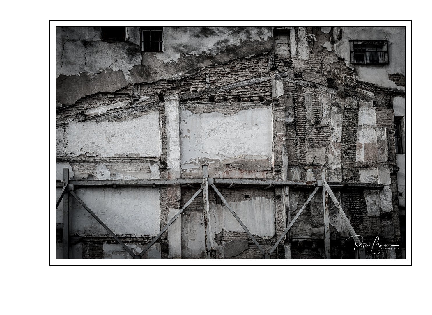 Nikon D4S sample photo. Rotten photography