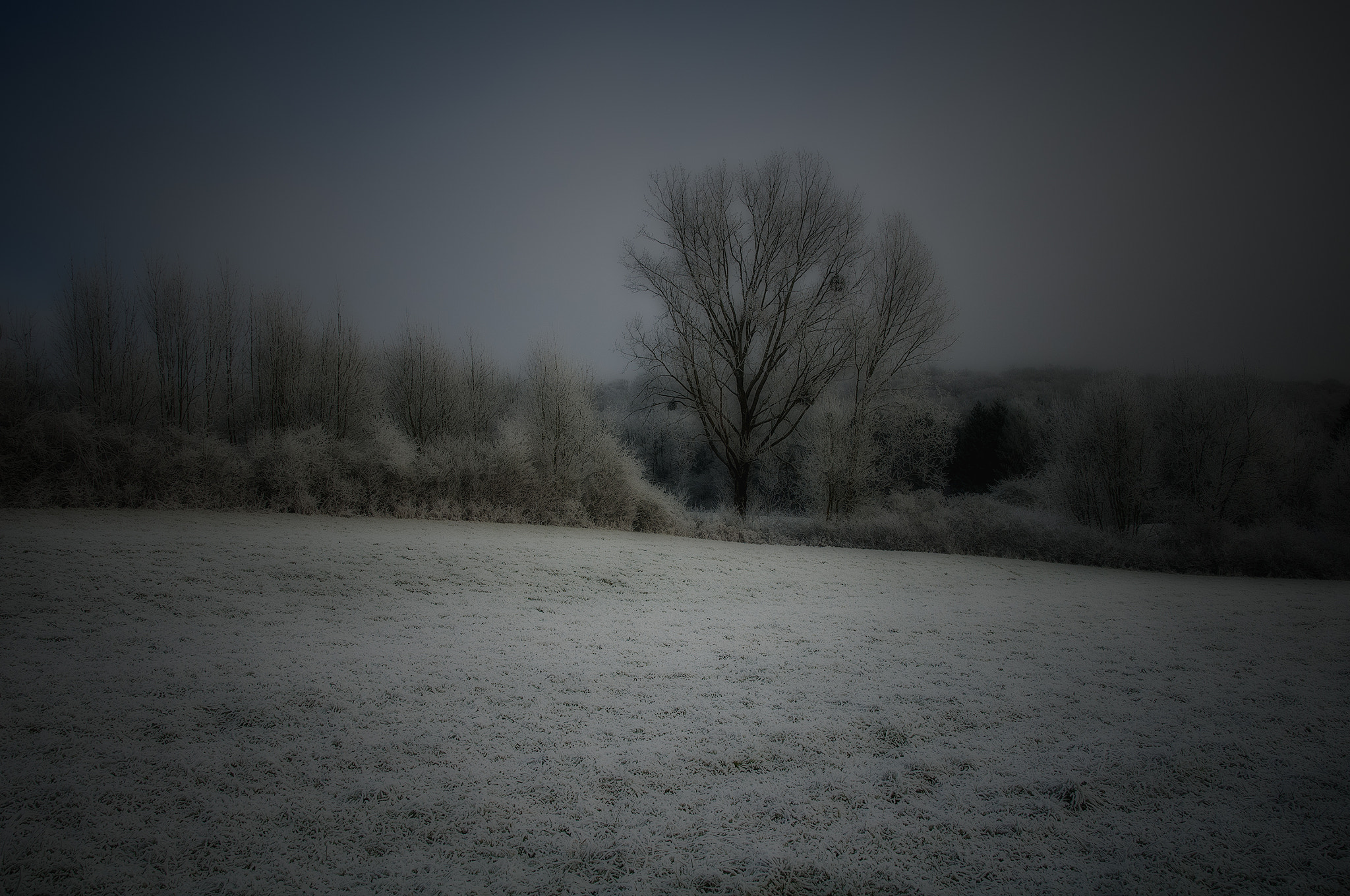 Sigma 17-50mm F2.8 EX DC OS HSM sample photo. 7654belgic photography