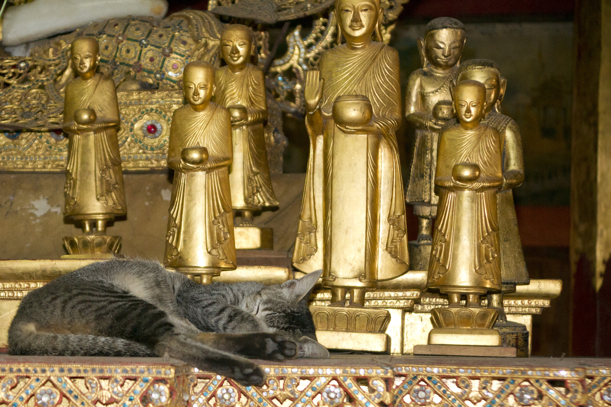 Sony Alpha DSLR-A550 sample photo. Cat in a temple, myanmar photography