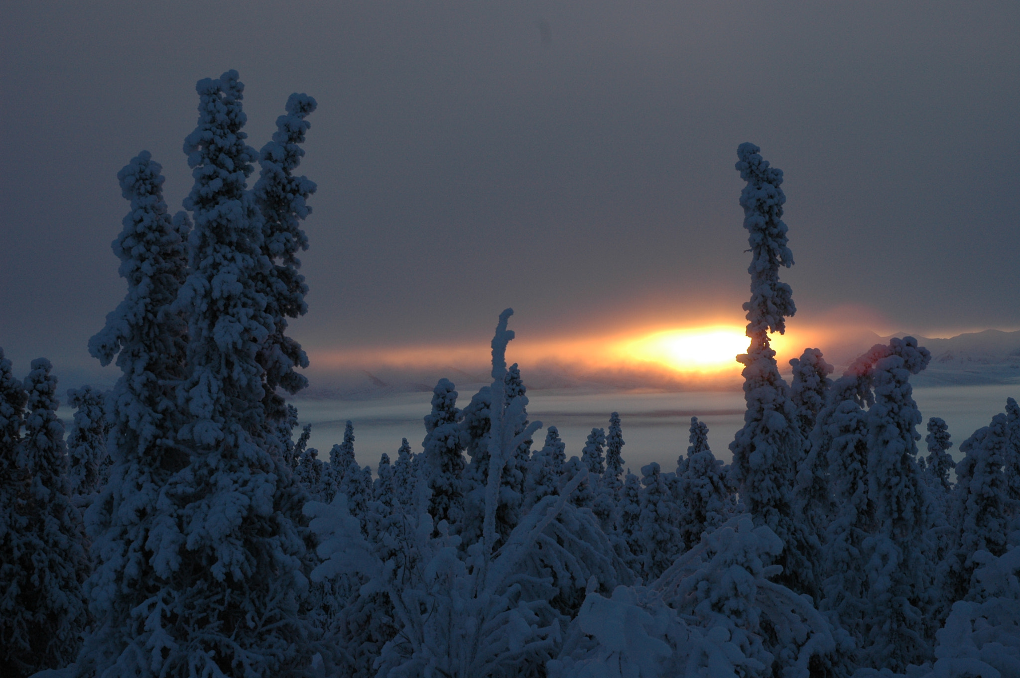 Nikon D70s sample photo. High noon on the dempster highway.  yukon territory. photography