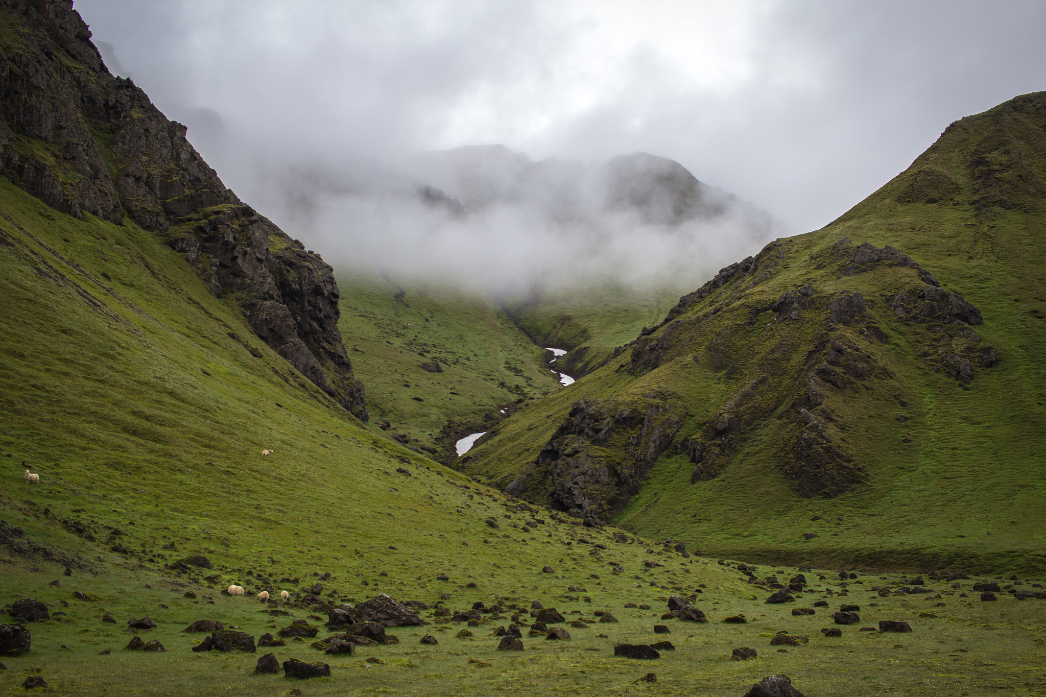 Canon EF-S 24mm F2.8 STM sample photo. Iceland challenge photography