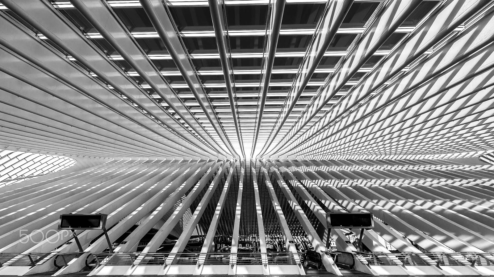 Nikon AF-S Nikkor 14-24mm F2.8G ED sample photo. Stripes photography