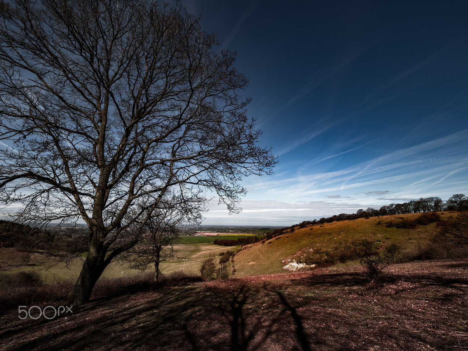 Olympus OM-D E-M1 sample photo. Chilterns winter view photography