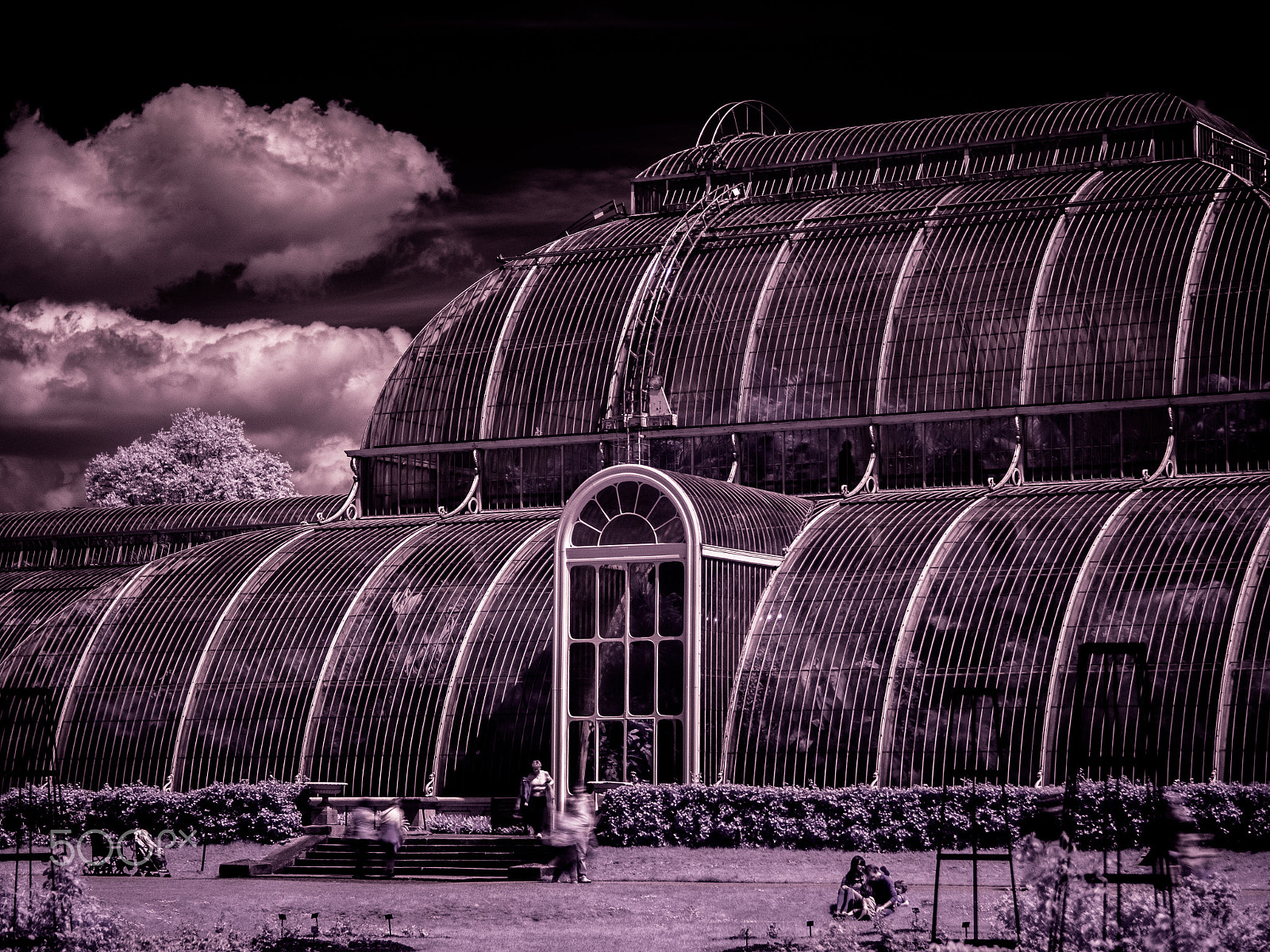 Olympus OM-D E-M1 sample photo. Glasshouse at kew gardens in infrared photography