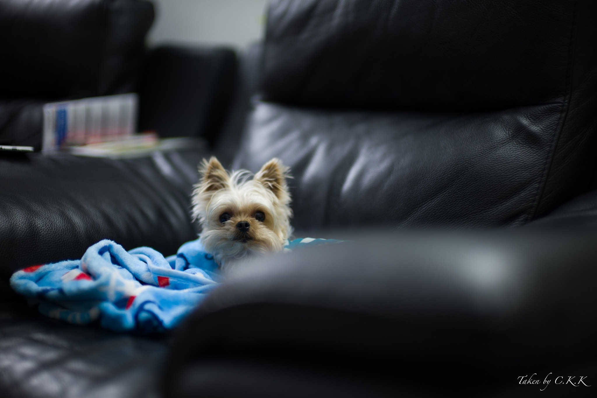 Leica Noctilux-M 50mm F0.95 ASPH sample photo