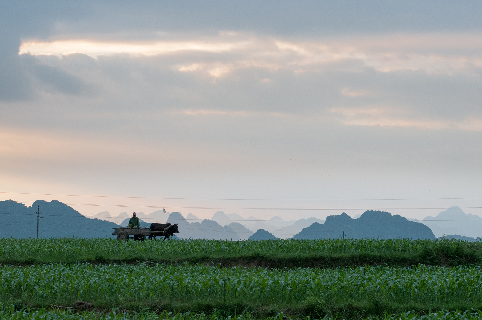 Nikon AF-Nikkor 80-200mm F2.8D ED sample photo. Vietnam photography