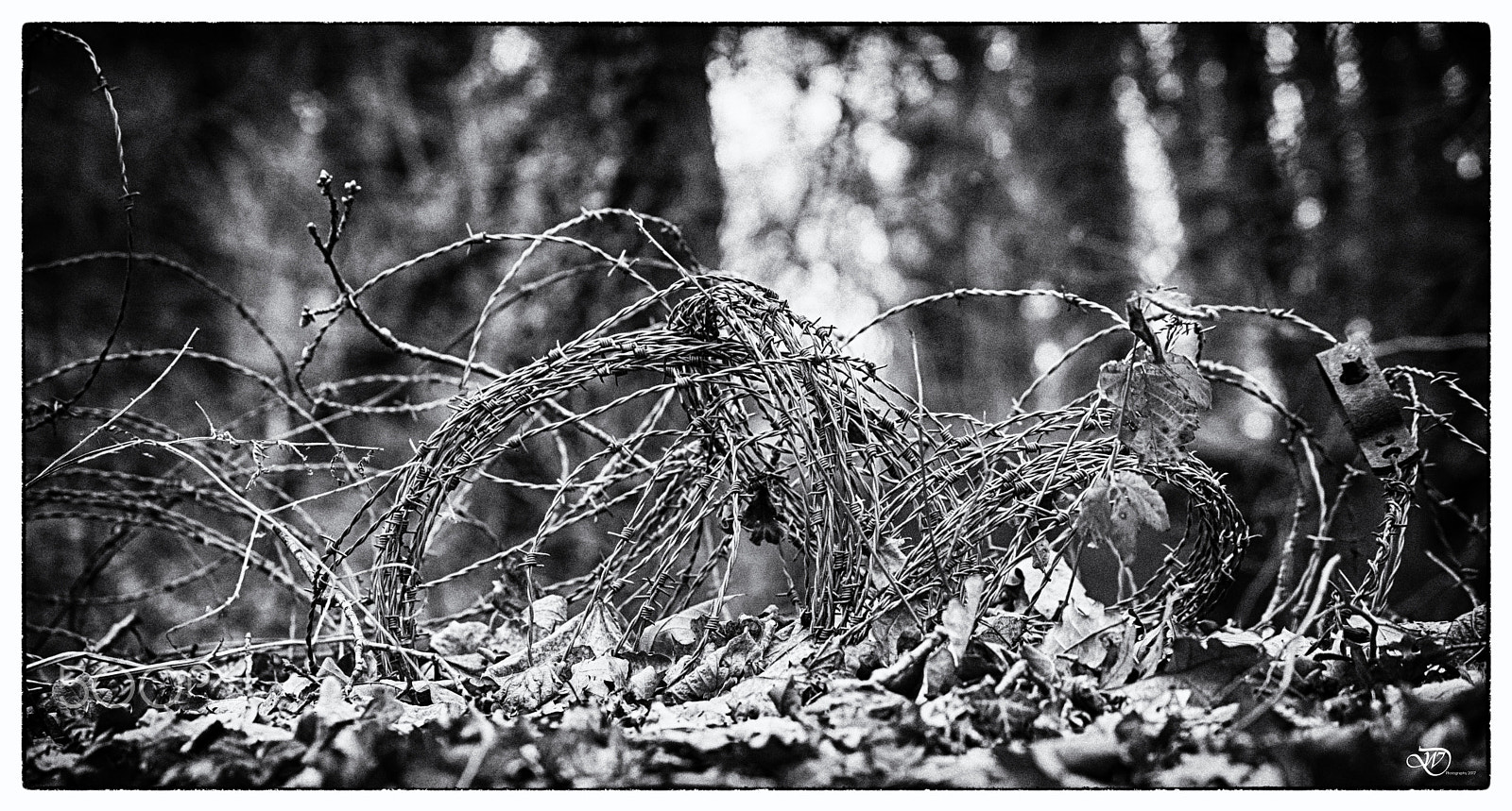 Nikon D750 sample photo. Barb wire photography