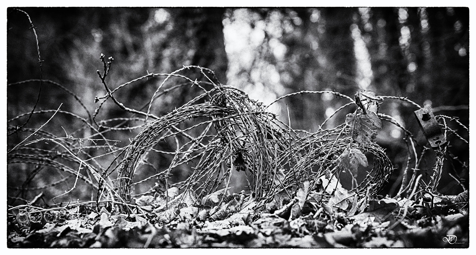 Sigma 70-200mm F2.8 EX DG OS HSM sample photo. Barb wire photography