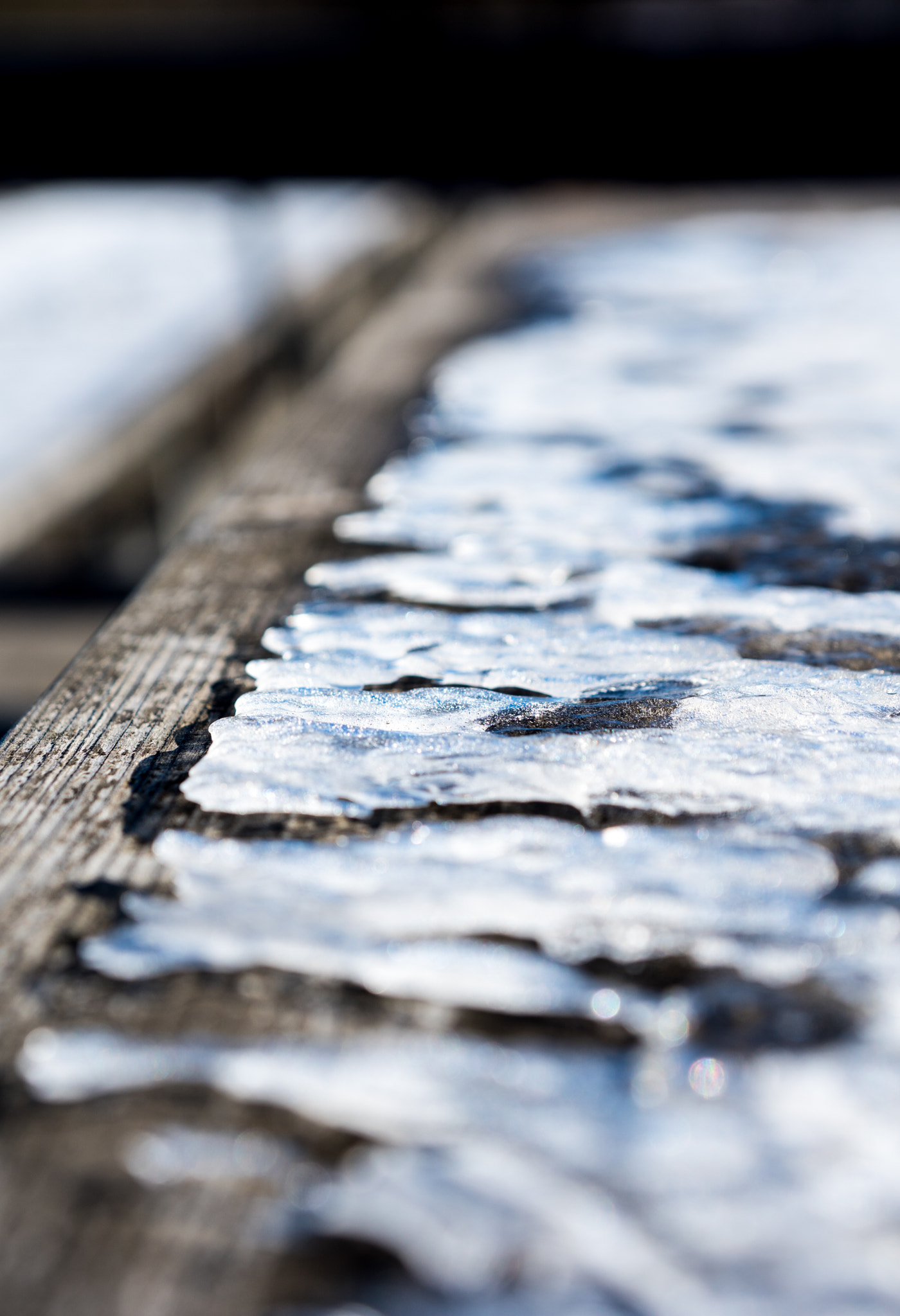 Sony ILCA-77M2 sample photo. Ice wood photography