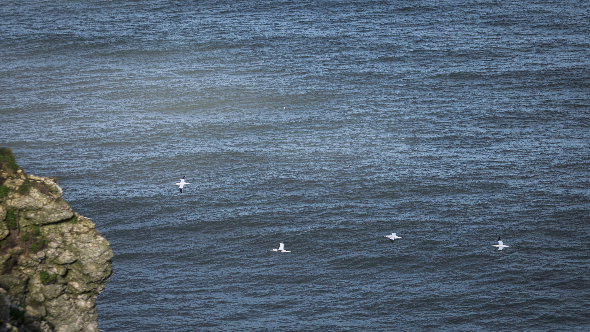 Nikon D7200 sample photo