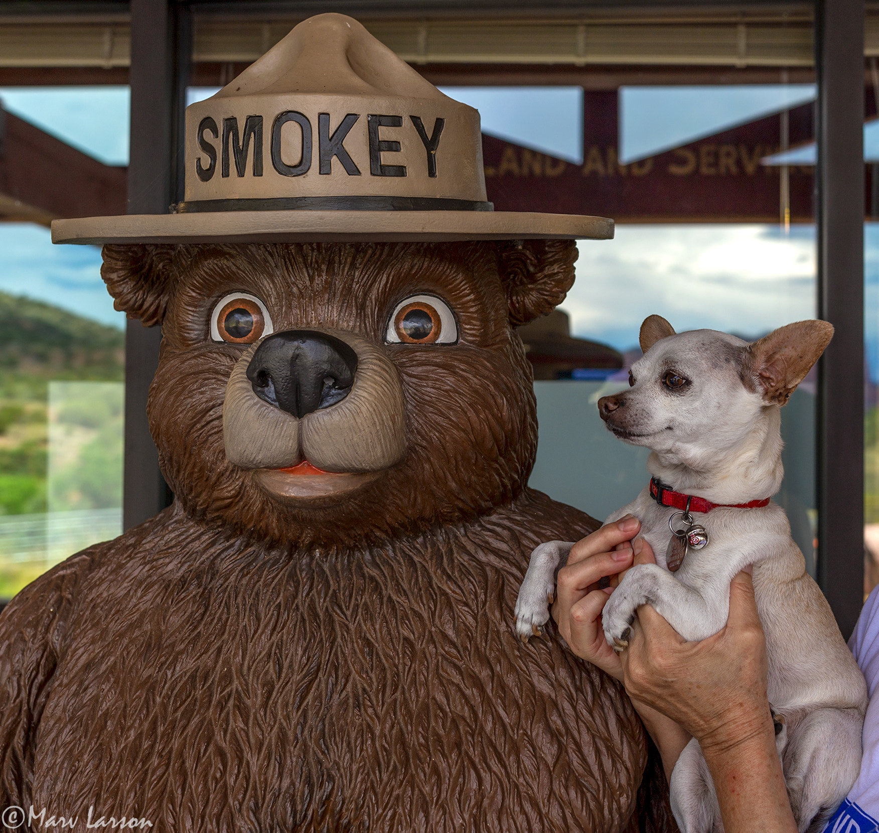 Sigma 24-35mm F2 DG HSM Art sample photo. Bengi and smokey photography