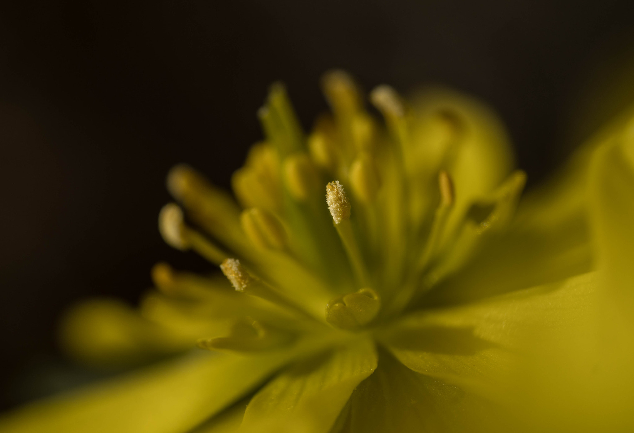 90mm F2.8 Macro SSM sample photo. Der frühling naht photography