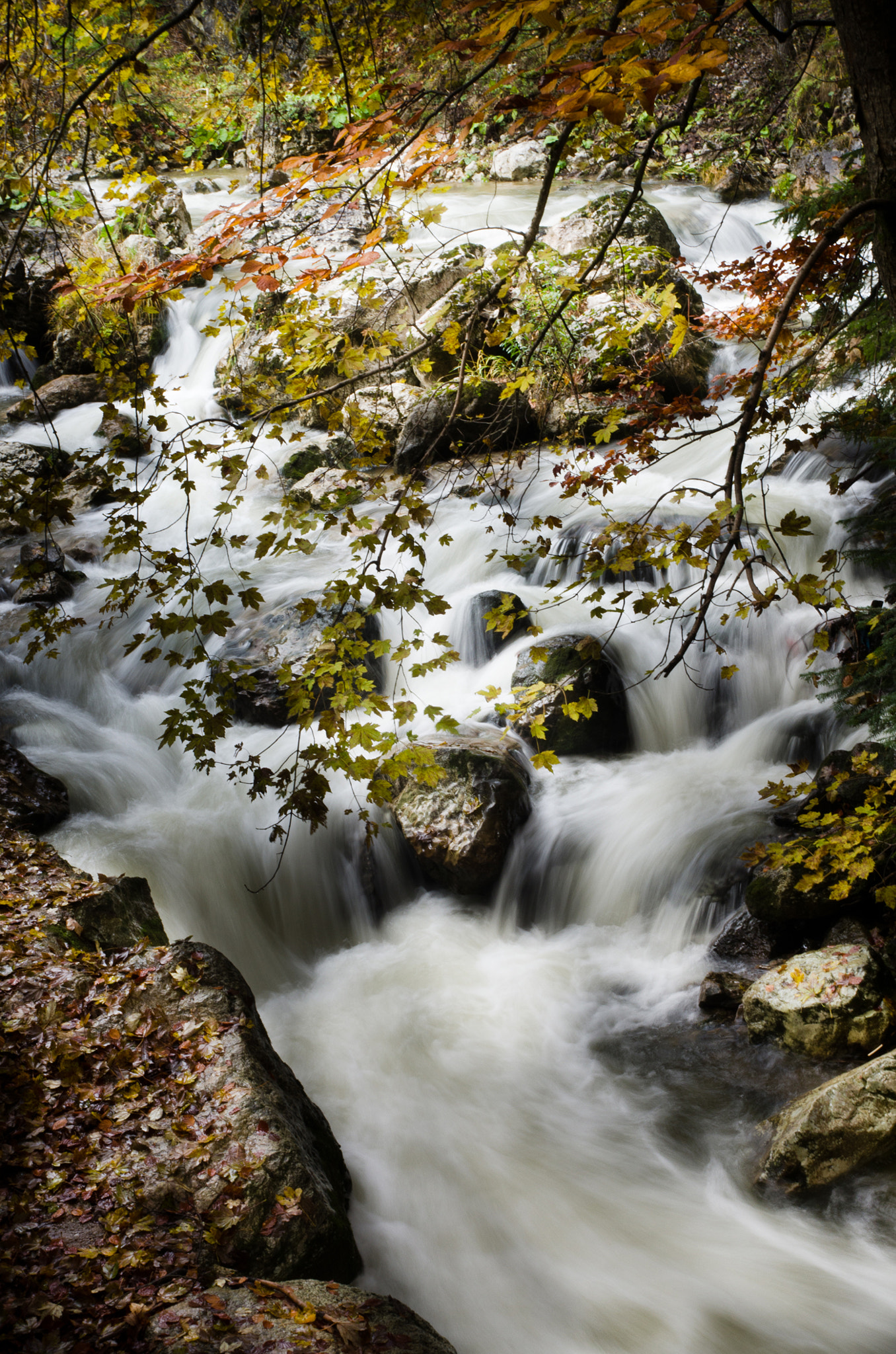 Pentax K-5 sample photo. -autumnal creek ii- photography