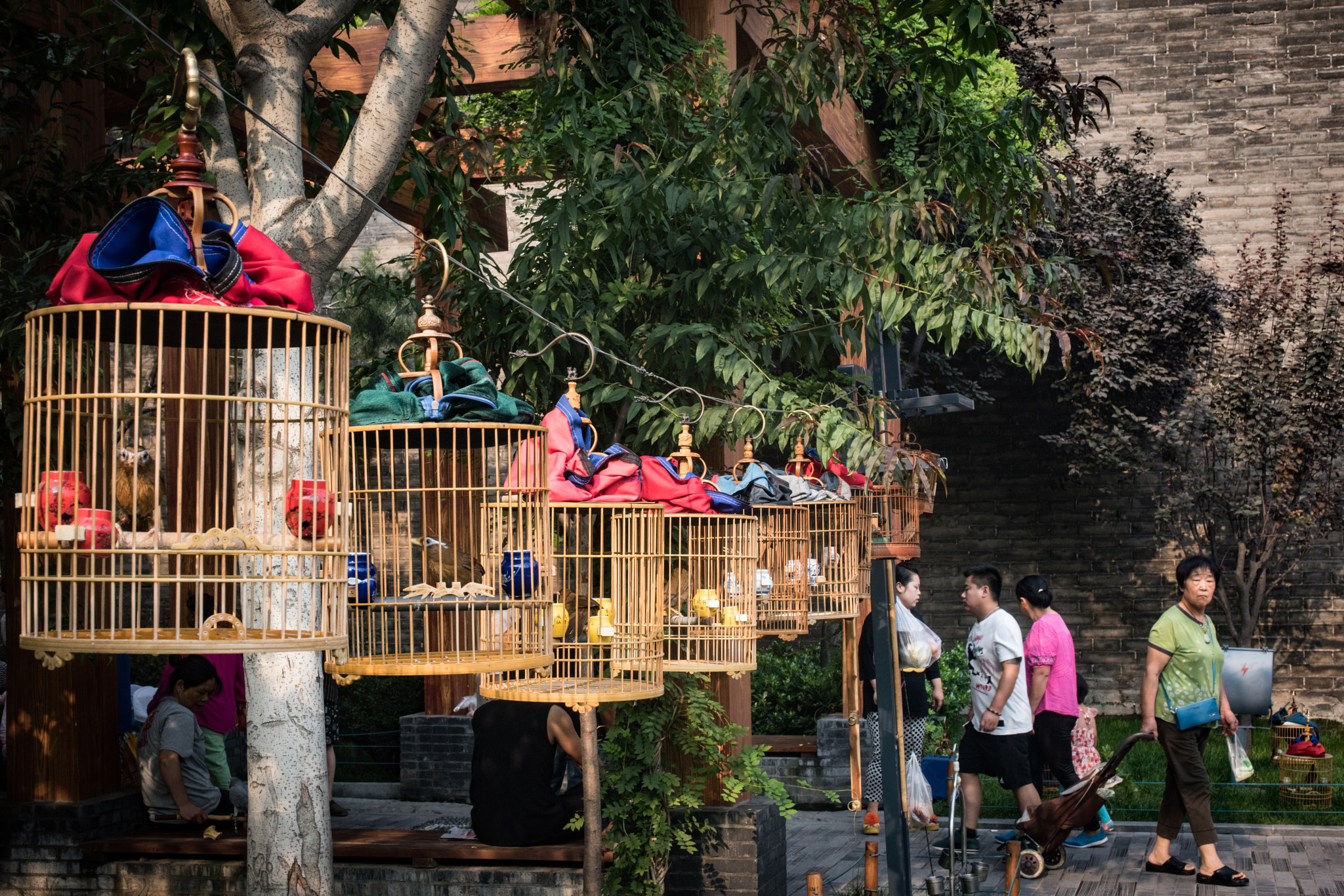 Nikon D810 + AF Zoom-Nikkor 35-70mm f/2.8 sample photo. Morning in xi an photography