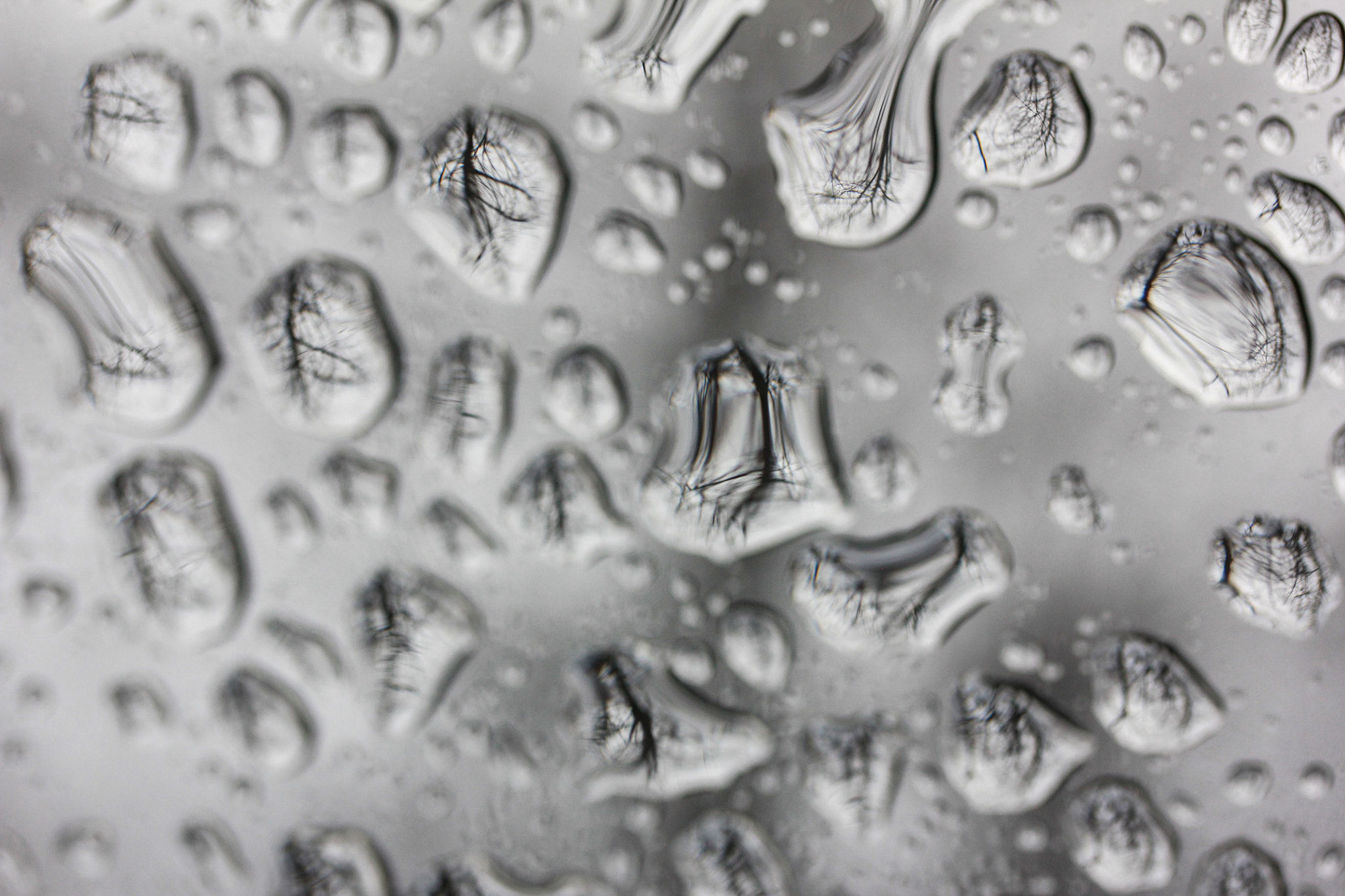 Canon EF-S 60mm F2.8 Macro USM sample photo. Rain drops photography