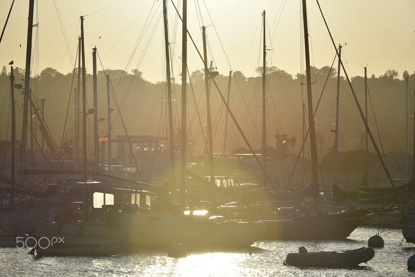 Nikon D750 sample photo. Sunset from harbor photography