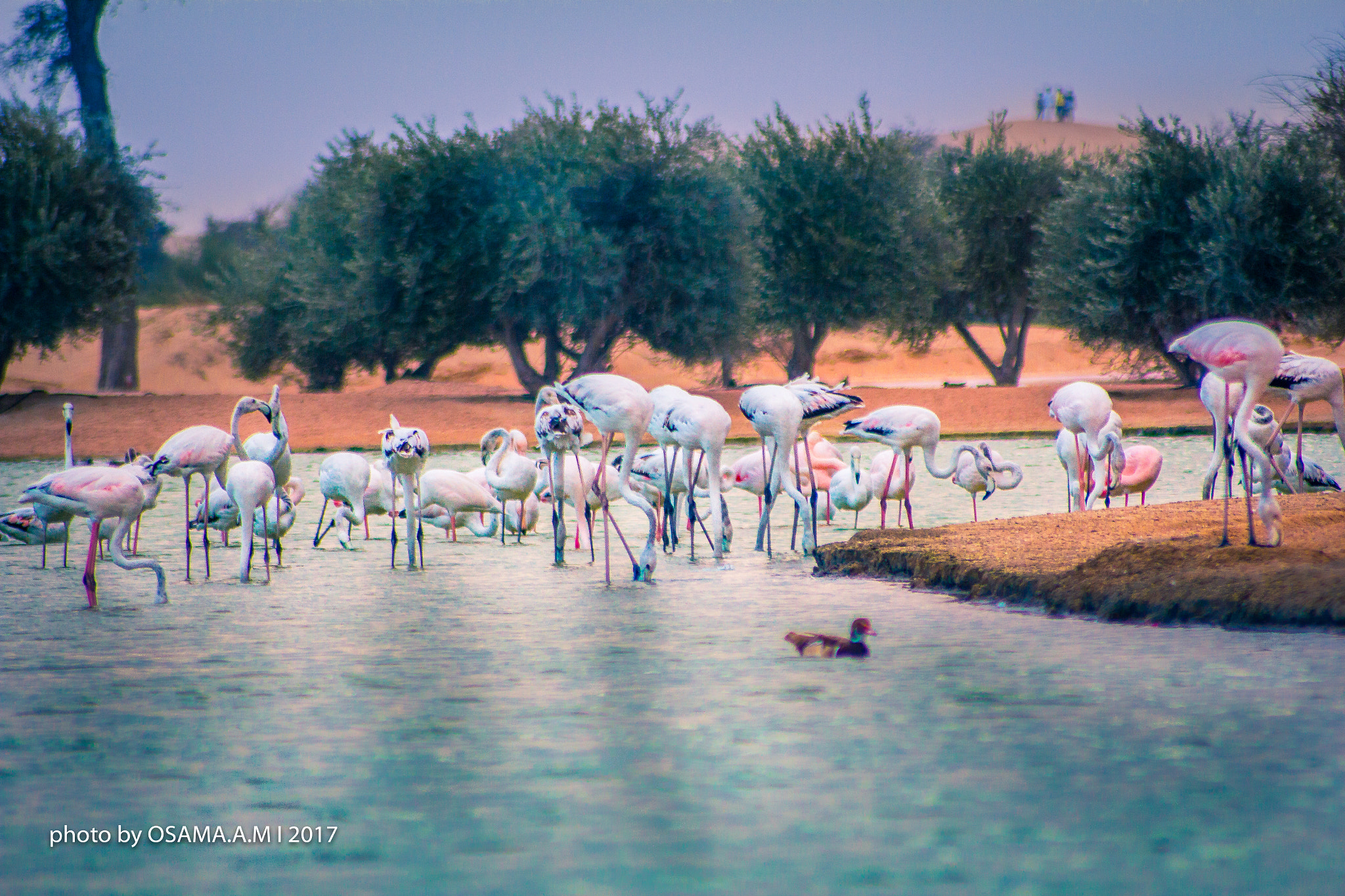 Canon EOS 60D sample photo. Aqudra lake photography