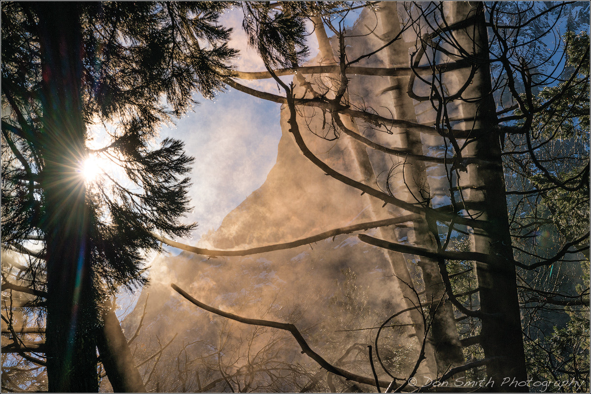 Sony FE 70-200mm F2.8 GM OSS sample photo. Steam from trees photography