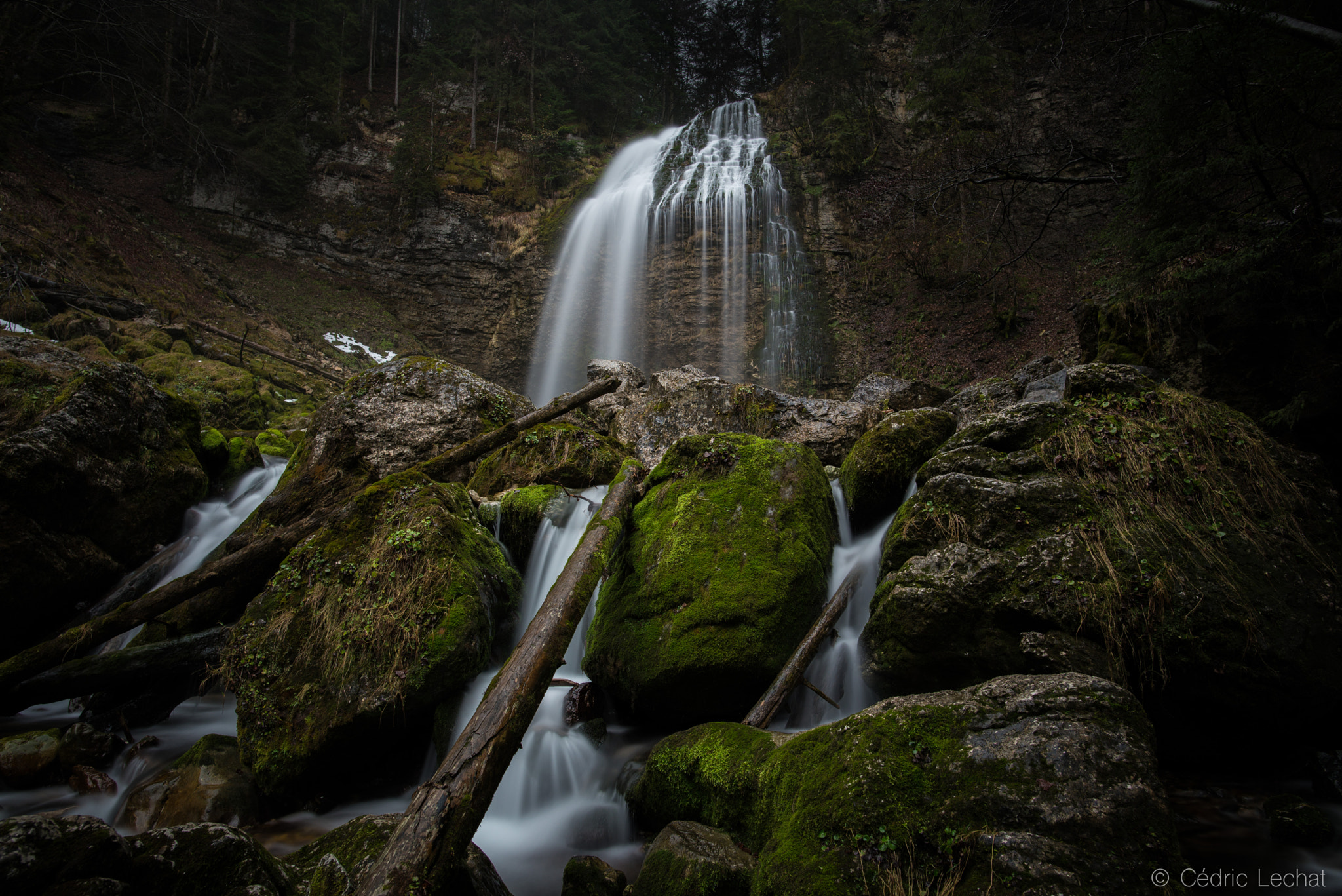 Nikon D610 + Nikon AF-S Nikkor 20mm F1.8G ED sample photo. Wood&fall photography