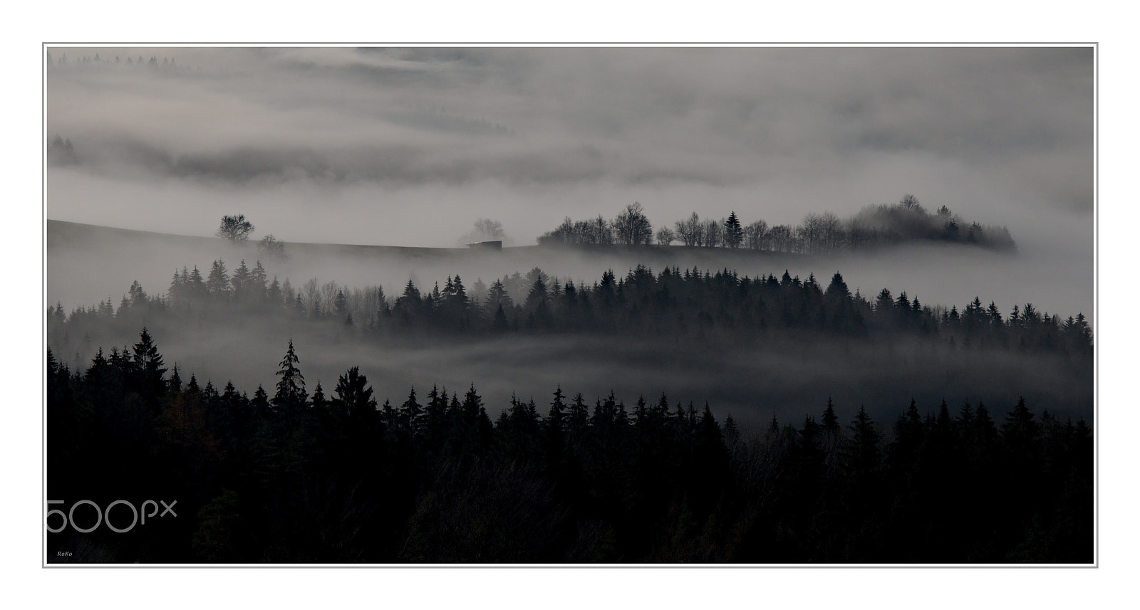 Nikon D90 sample photo. Foggy morning photography