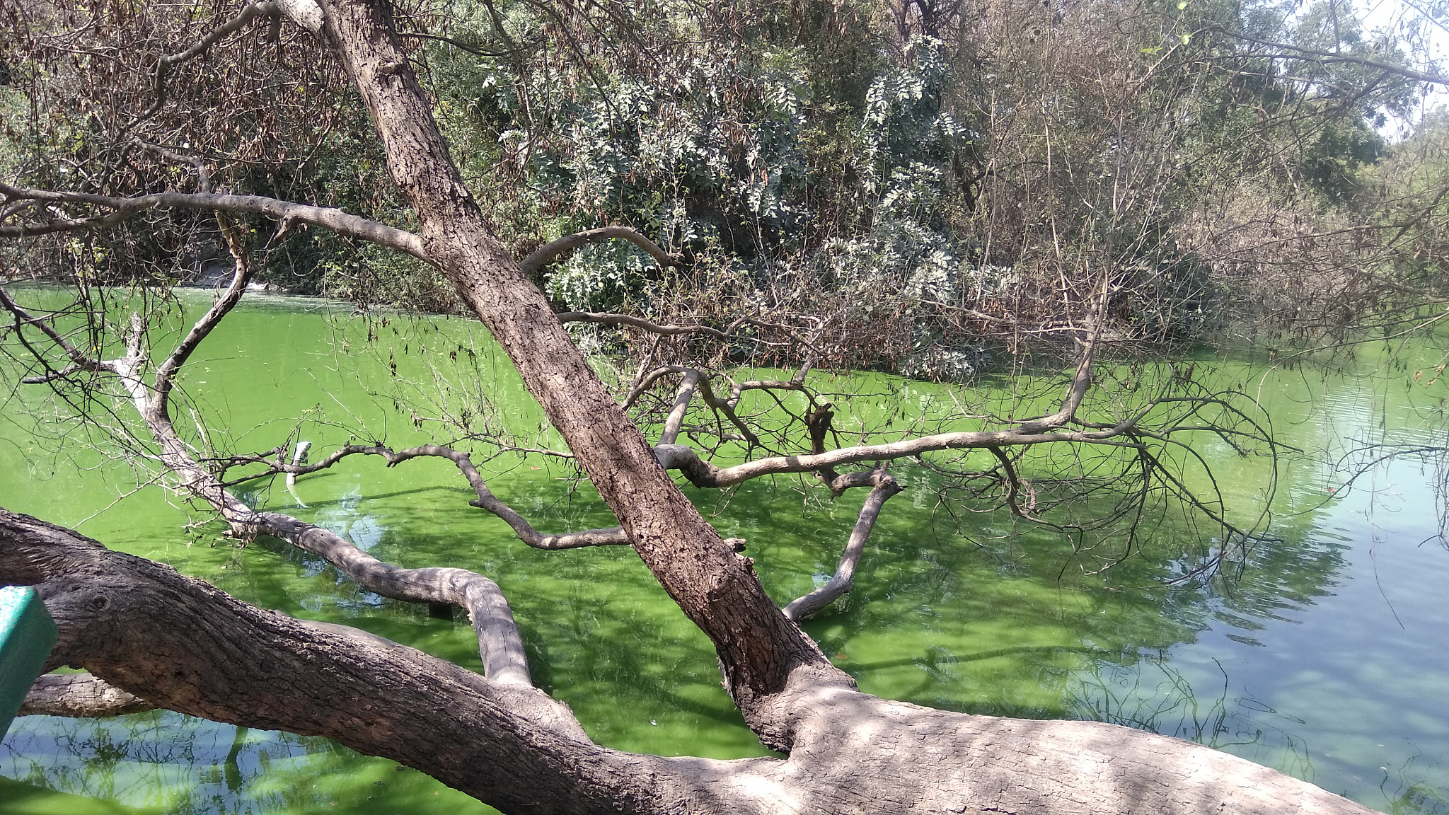 LeMobile Le X526 sample photo. Lake.. photography