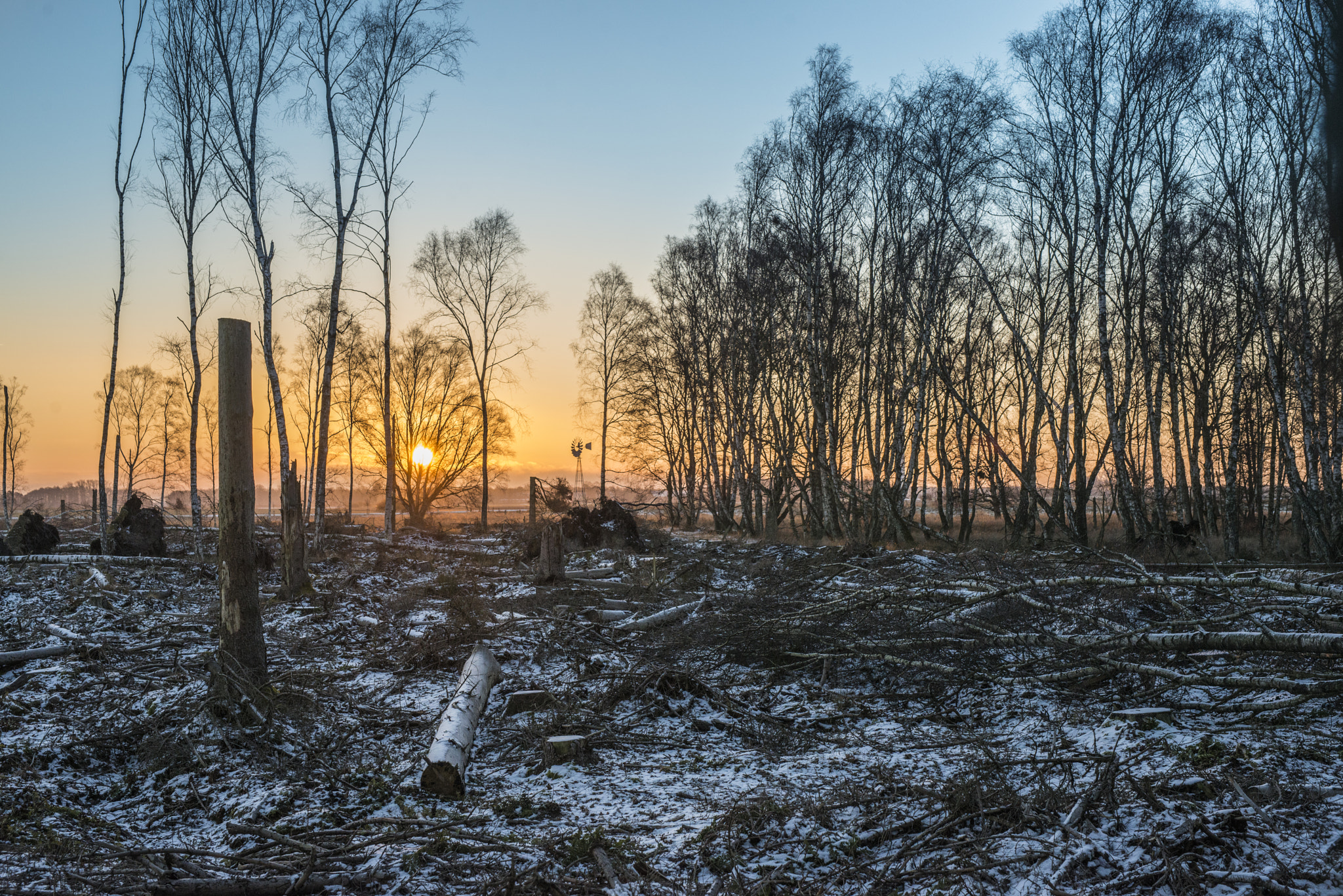 Nikon D800 + Sigma 50mm F1.4 DG HSM Art sample photo. Morning sunshine photography