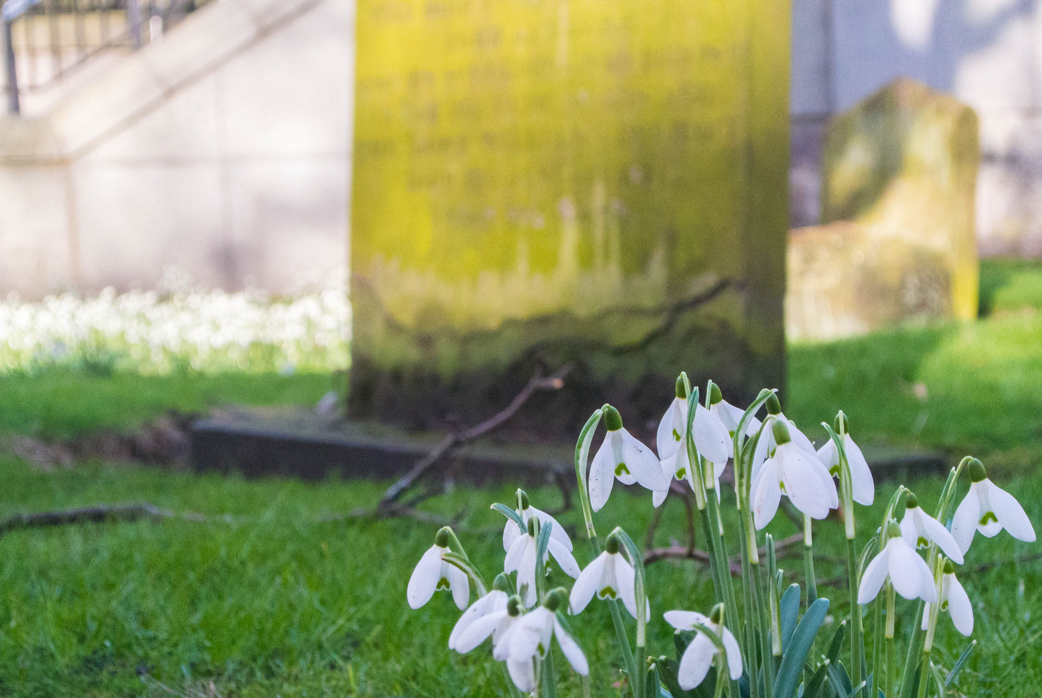 Nikon 1 V1 sample photo. Early spring by the kirk of st nicholas photography