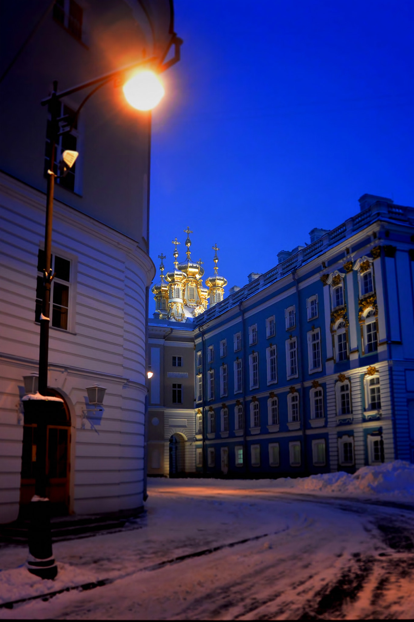 Nikon 1 V2 sample photo. Дворец photography