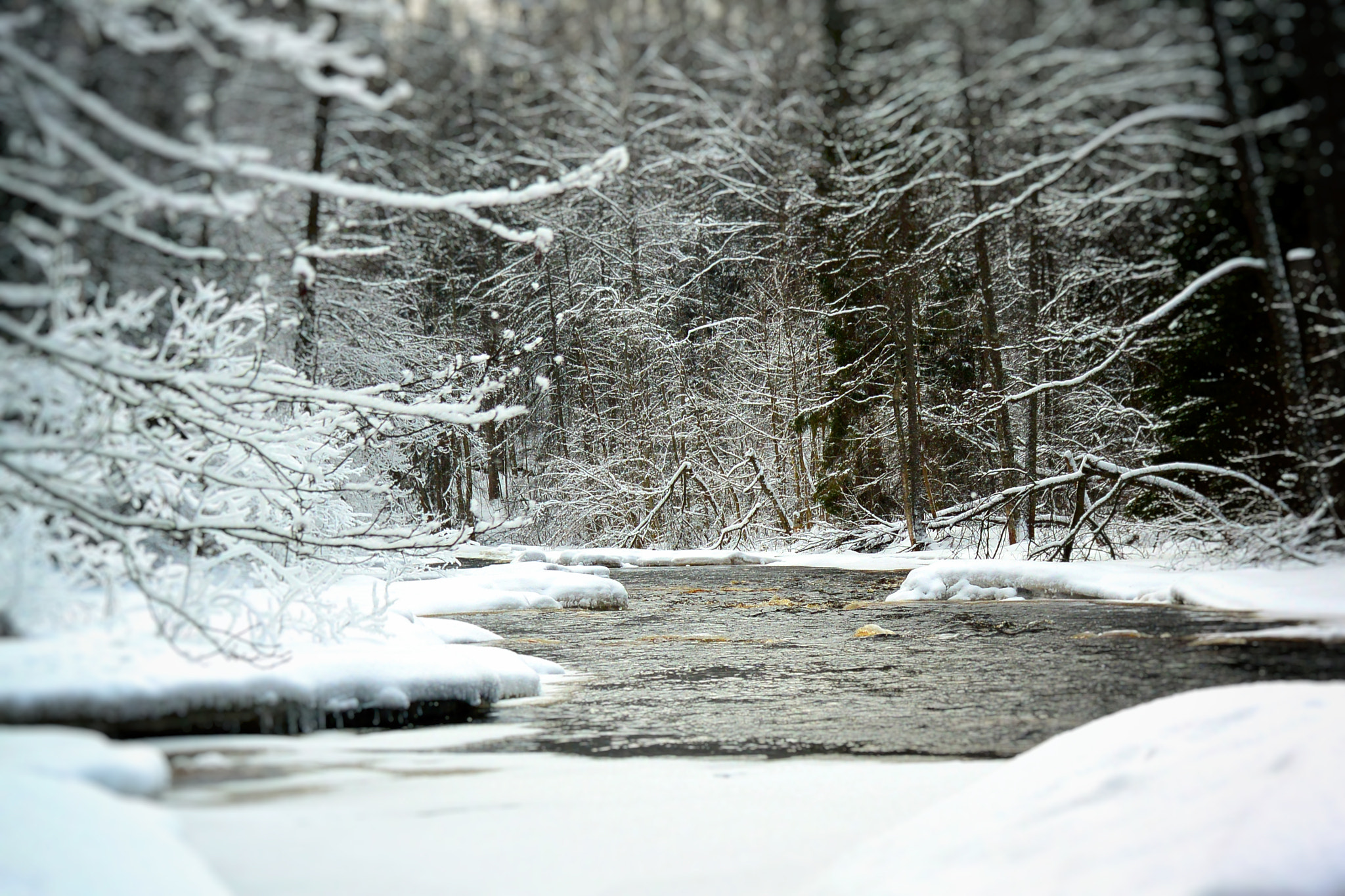 Nikon 1 V2 sample photo. зимняя река photography