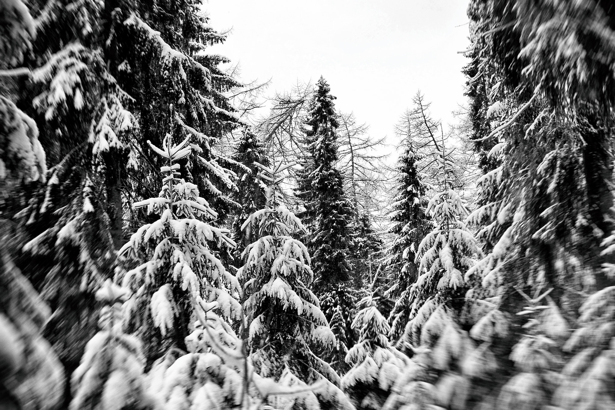 Nikon 1 V2 sample photo. зимний лес photography