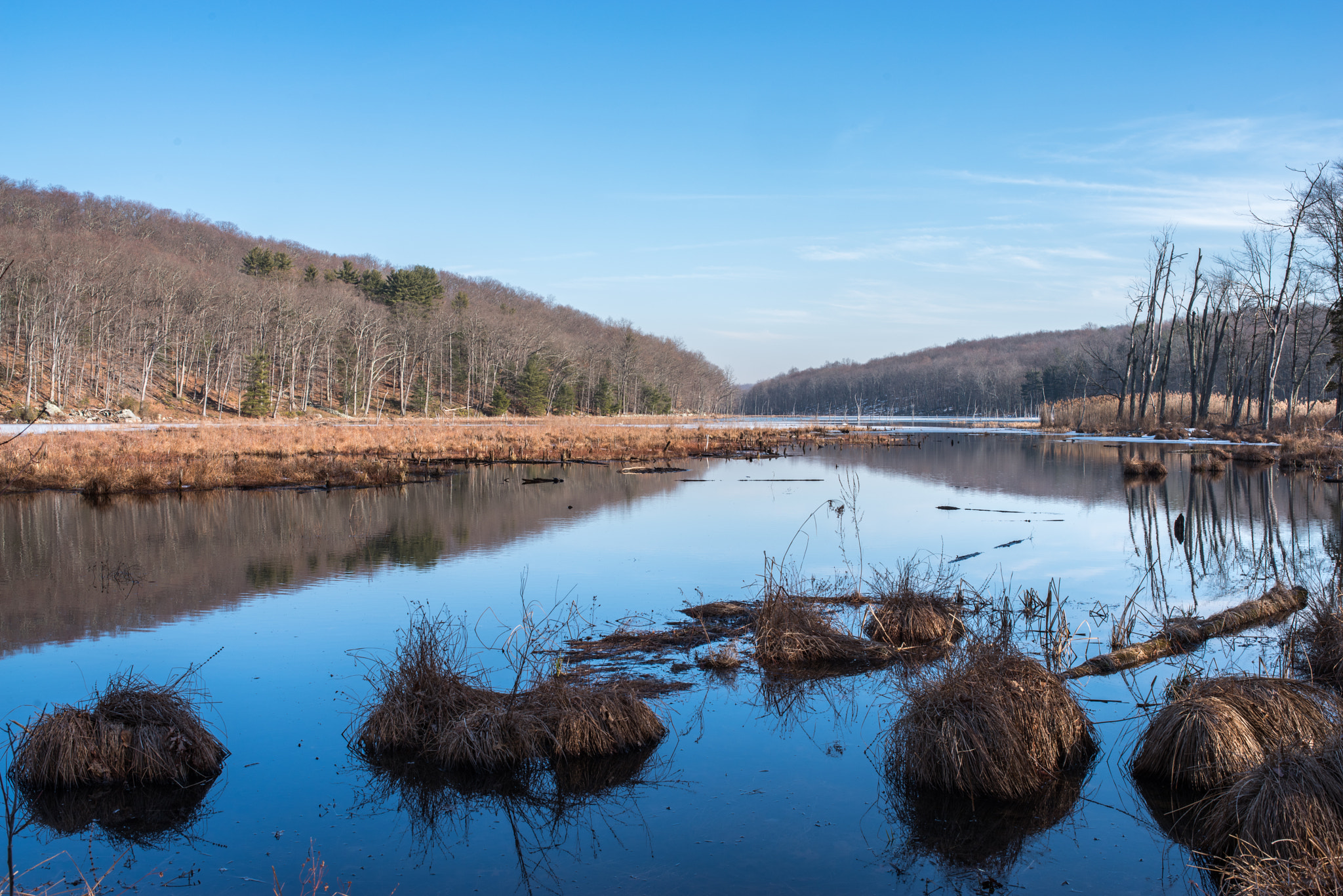 Pentax K-1 sample photo. Convergence and reflections, bennett's pond photography